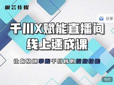 枫芸传媒-线上千川提升课，提升千川认知，提升千川投放效果-副业网