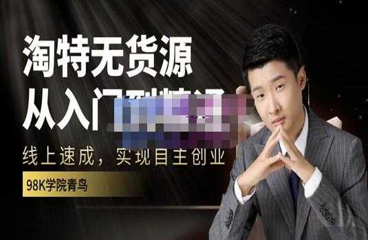 98k学院的淘特无货源线上速成课，从入门到精通，让你最小投入，最高回报-副业网