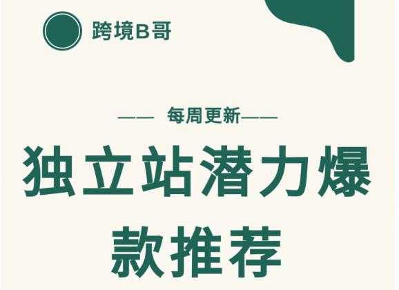 【跨境B哥】独立站潜力爆款选品推荐，测款出单率高达百分之80-副业网