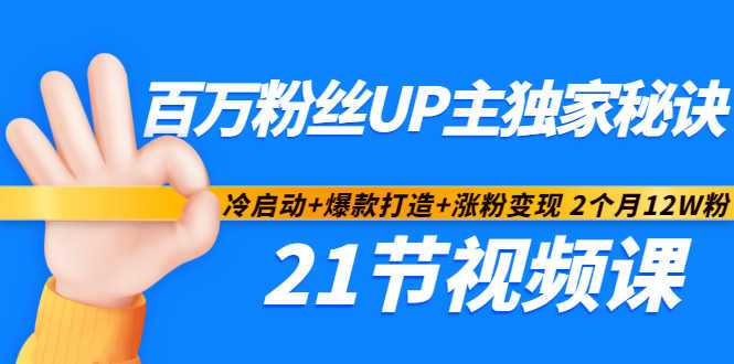 百万粉丝UP主独家秘诀：冷启动+爆款打造+涨粉变现2个月12W粉（21节视频课)-副业网