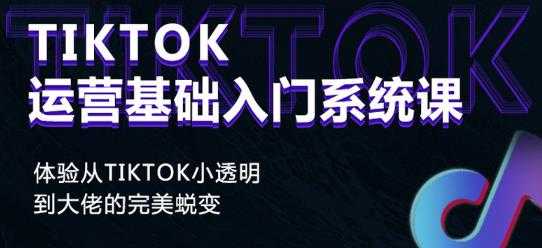 视频号批量引流，霸屏行业关键词（基础班）全面系统讲解视频号玩法-副业网