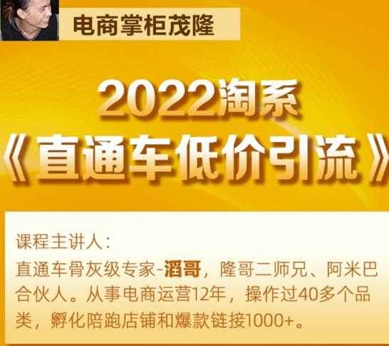 茂隆2022直通车低价引流玩法，教大家如何低投入高回报的直通车玩法-副业网