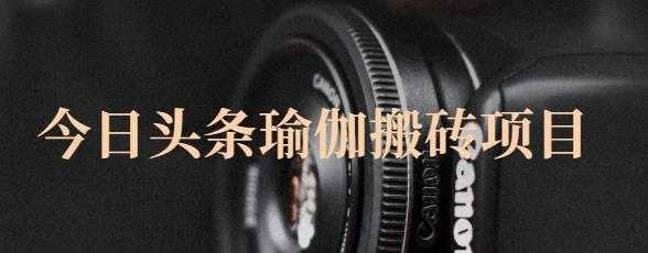 猎人社区·今日头条瑜伽搬砖项目，单号一天几十收入，可以批量操作！-副业网