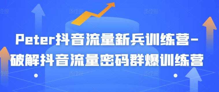 Peter抖音流量新兵训练营-破解抖音流量密码群爆训练营（新兵）-副业网