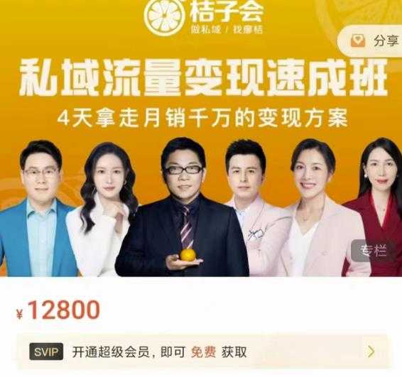 桔子会·私域流量变现速成班，4天拿走月销千万的变现方案 价值12800元-副业网
