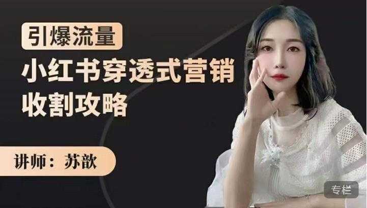 苏歆：小红书穿透式营销收割攻略，引爆流量，助你玩转小红书-副业网