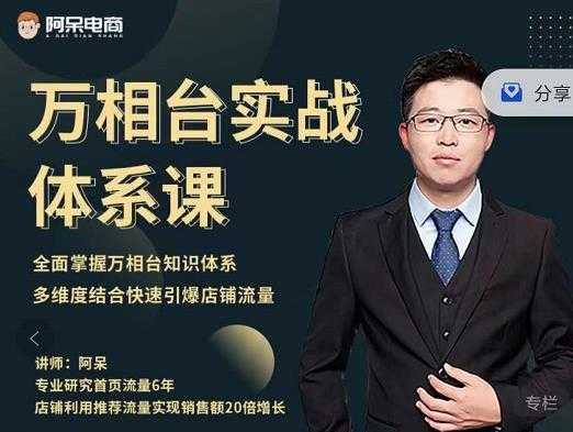 阿呆-万相台实战体系课，帮您全面掌握万相台知识体系-副业网
