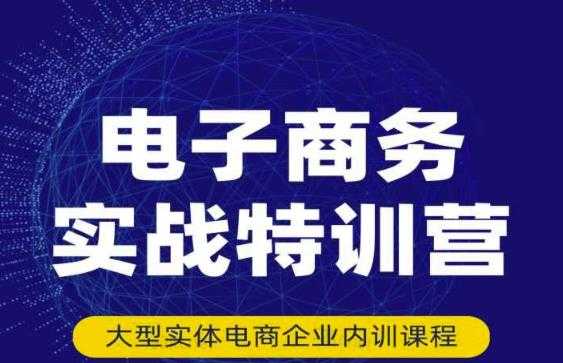 民赛电气内部出品：电子商务实战特训营，全方位带你入门电商，308种方式玩转电商-副业网