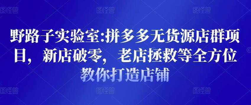 野路子实验室:拼多多无货源店群项目，新店破零，老店拯救等全方位教你打造店铺-副业网