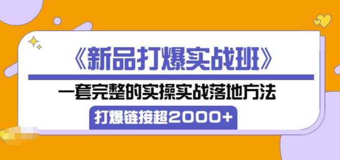 凌童《新品打爆实战班》,一套完整的实操实战落地方法，打爆链接超2000+（28节课)-副业网