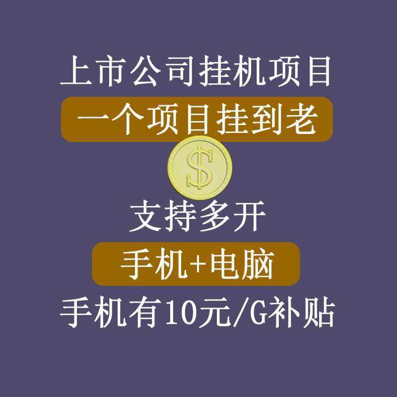 正规挂机项目，支持手机电脑一起挂，支持虚拟机多开，可以挂到老-副业网