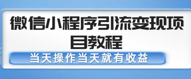 微信小程序引流变现项目教程，当天操作当天就有收益，变现不再是难事-副业网
