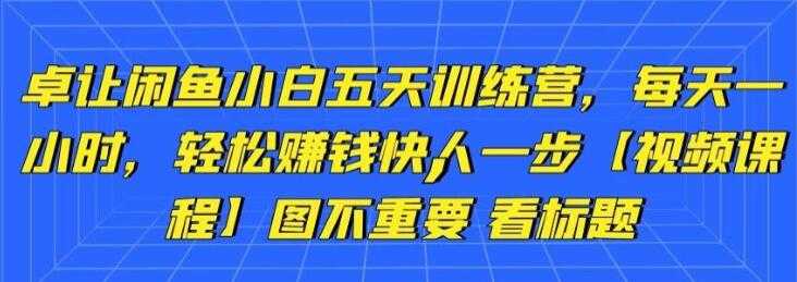 图片[1]-卓让《闲鱼项目小白五天训练营》每天一小时，轻松赚钱快人一步-副业网