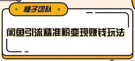 图片[1]-闲鱼引流精准粉变现赚钱玩法，每天可以引流精准粉100+-副业网