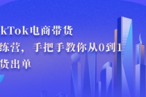 TikTok电商带货训练营，手把手教你从0到1带货出单-副业网