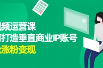 短视频运营课，如何打造垂直商业IP账号，轻松涨粉变现-副业网