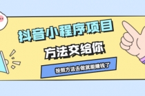 抖音小程序项目，方法交给你，按照方法去做就能赚钱了-副业网