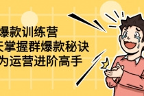 群爆款训练营：8天掌握群爆款秘诀，成为运营进阶高手-副业网