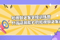 短视频文案实训操练营，只说话就能火的短视频文案课-副业网
