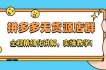 拼多多无货源店群：全程精细化讲解，实操教学！-副业网
