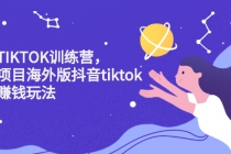 海外TIKTOK训练营，百万项目海外版抖音tiktok流量赚钱玩法-副业网