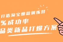 打造淘宝爆款训练营，90%成功率：全品类新品打爆方案-副业网