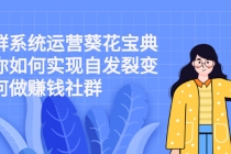 社群系统运营葵花宝典：教你如何实现自发裂变，如何做赚钱社群-副业网