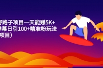 15个野路子项目一天能赚5K+直播弹幕日引100+精准粉玩法-副业网