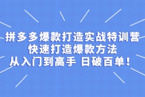 拼多多爆款打造实战特训营：快速打造爆款方法，从入门到高手 日破百单-副业网