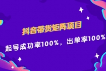 抖音带货矩阵项目，起号成功率100%，出单率100%！-副业网
