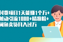 知识付费项目1天能赚1个万+一天被动引流1000+精准粉+小白闲鱼卖货月入过万-副业网