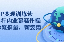 IP变现训练营：N多行内业幕骚作操，教你流搞量，新姿势！-副业网