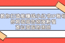 教你打造能赚钱小红书IP账号：你将彻底告别涨粉慢，难以变现的困扰-副业网
