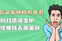 『爆款文案硬核孵化营』如何打造吸金IP，持续赚钱无限循环-副业网