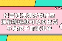 抖音短视频好物种草，混剪搬运就可以卖出货，不是傻子都能出单-副业网
