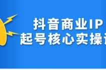 抖音商业IP起号核心实操课，带你玩转算法，流量，内容，架构，变现-副业网