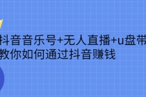 抖音音乐号+无人直播+u盘带货，教你如何通过抖音赚钱-副业网