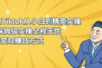 2022Tiktok从小白到精英实操，0-1保姆级实操全程无忧，多种变现赚钱方式-副业网