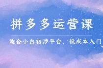 拼多多运营课，适合小白初涉平台，低成本入门 创造销量和利润的方法-副业网