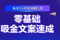 零基础吸金文案速成：小白也可以写出爆款文章，每天一小时收益翻几倍-副业网