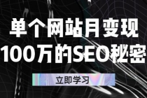 单个网站月变现100万的SEO秘密：如何百分百做出赚钱站点-副业网