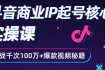 抖音爆款商业IP起号核心实操课：带你玩转算法，流量，内容，架构，变现-副业网