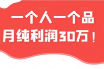 某公众号付费文章：一个人一个品月纯利润30万的蓝海电商经典案例！-副业网