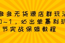 拼多多无货源店群：从0~1，必出单10单利润1000+暴利玩法，36节实战保姆教程-副业网