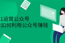 从0-1运营公众号，零基础小白也能上手，教你如何利用公众号赚钱-副业网