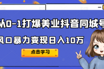 2022从0-1打爆美业抖音同城号，风口暴力变现日入10万-副业网