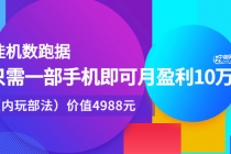挂机跑数据，只需一部手机即可月盈利10万＋-副业网