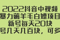2022抖音中视频暴力薅羊毛白嫖项目：新号每天20块，老号几天几百块，可多号-副业网