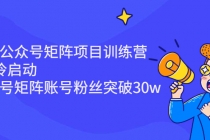 蓝海公众号矩阵项目训练营，0粉冷启动，公众号矩阵账号粉丝突破30w-副业网