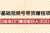 零基础视频号带货赚钱项目，0成本0门槛轻松日入300+【视频教程】-副业网